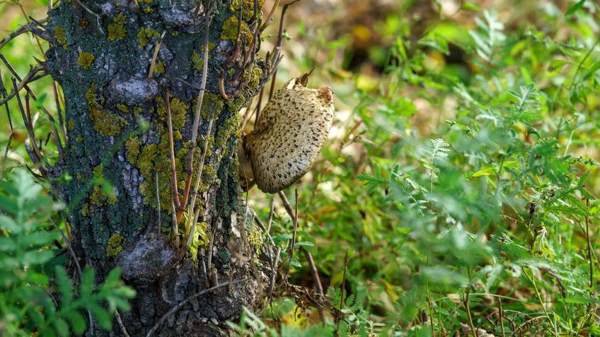 Фото №992590. Art16.ru Photo archive