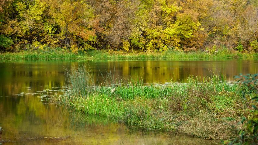 Фото №992615. Art16.ru Photo archive