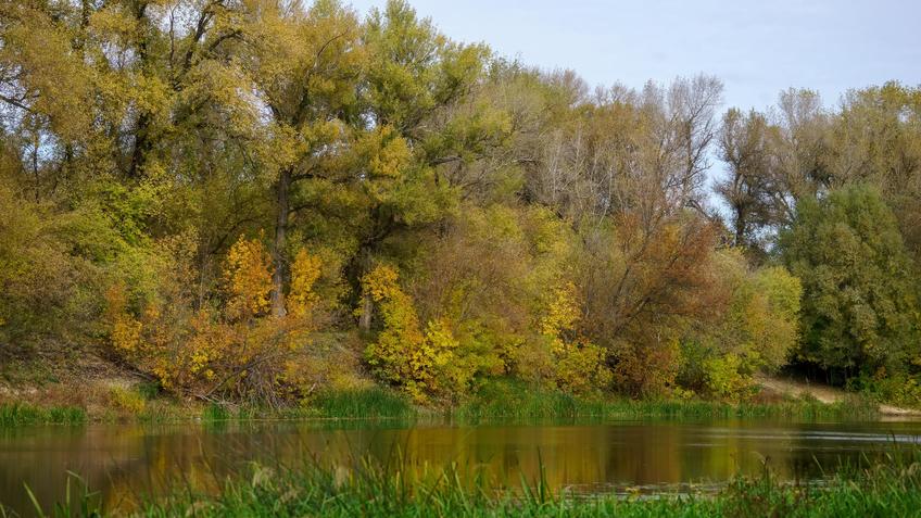 Фото №992625. Art16.ru Photo archive