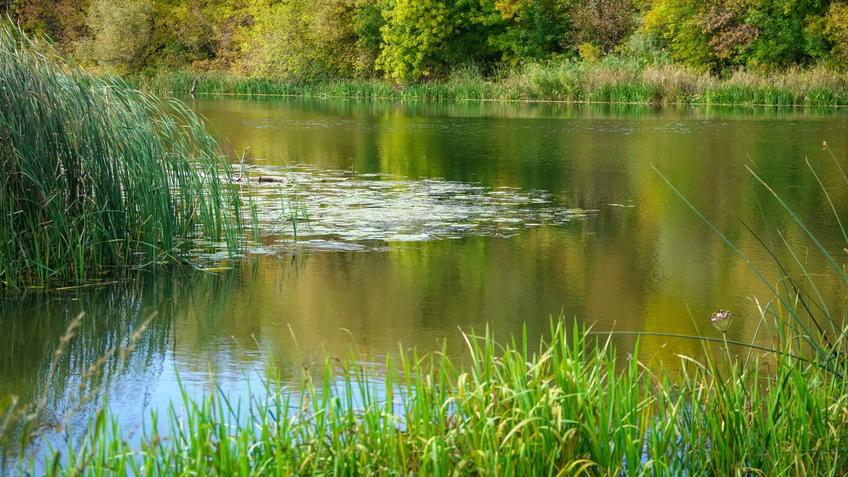 Фото №992630. Art16.ru Photo archive