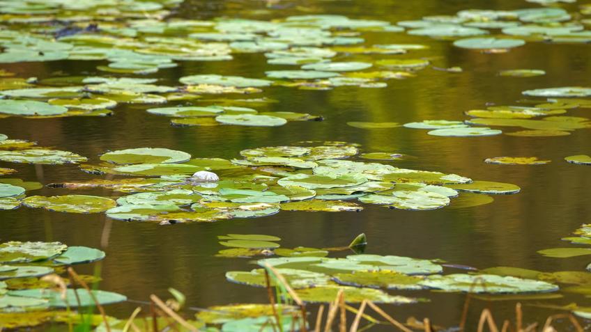 Фото №992635. Art16.ru Photo archive