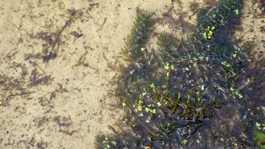 Фото №992650. Art16.ru Photo archive