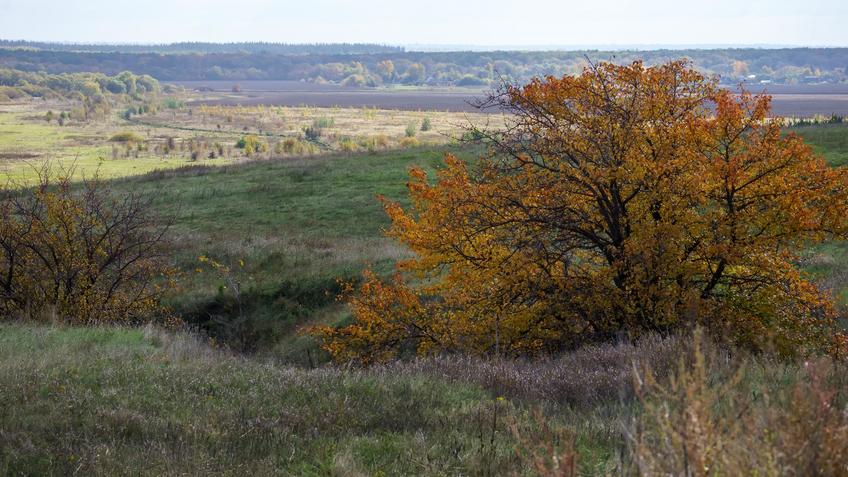 Фото №992695. Art16.ru Photo archive