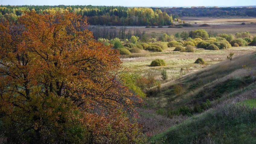 Фото №992700. Art16.ru Photo archive