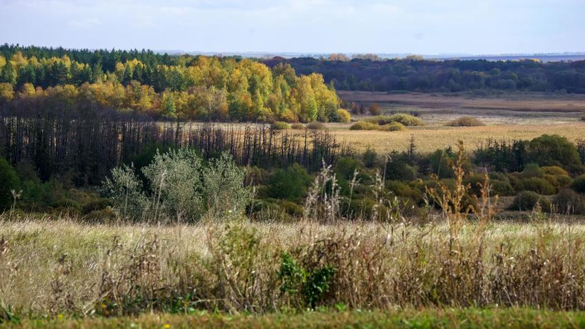 Фото №992705. Art16.ru Photo archive