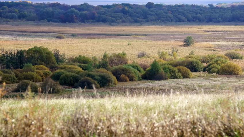 Фото №992710. Art16.ru Photo archive