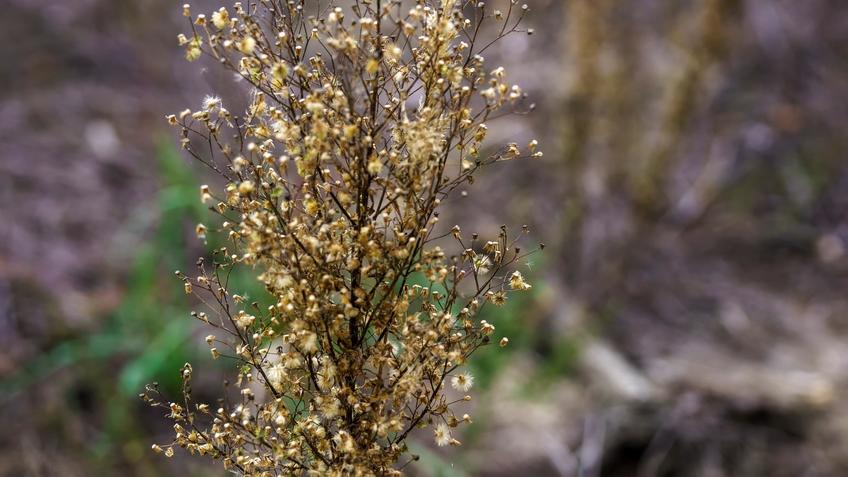 Фото №992745. Art16.ru Photo archive