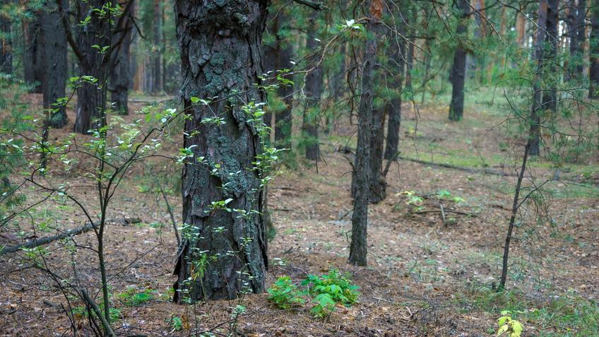 Фото №992750. Art16.ru Photo archive