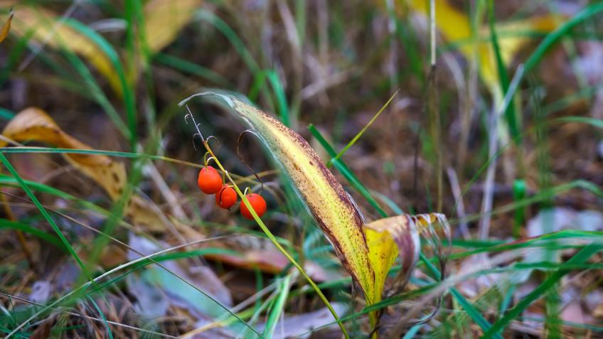 Фото №992755. Art16.ru Photo archive