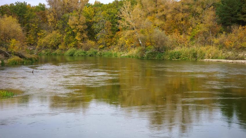 Фото №992765. Art16.ru Photo archive