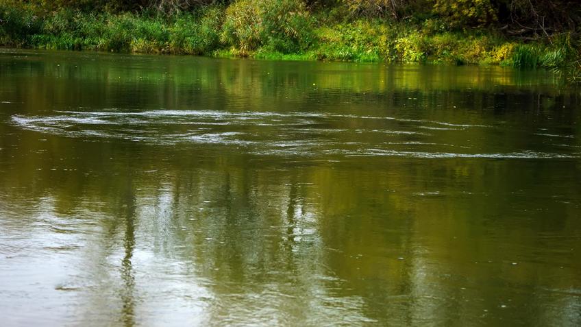 Фото №992780. Art16.ru Photo archive