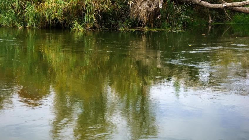 Фото №992785. Art16.ru Photo archive