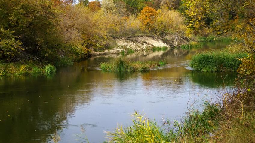 Фото №992790. Art16.ru Photo archive