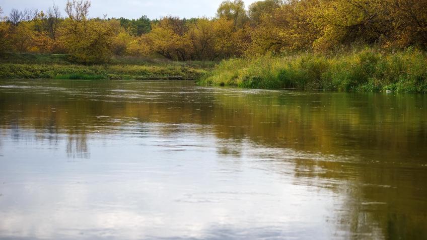 Фото №992800. Art16.ru Photo archive