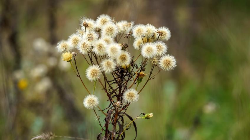 Фото №992810. Art16.ru Photo archive