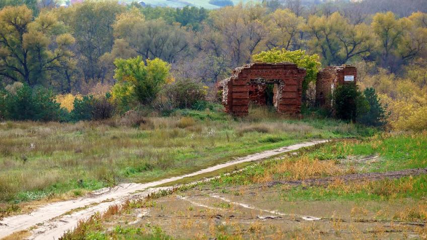 Фото №992850. Art16.ru Photo archive