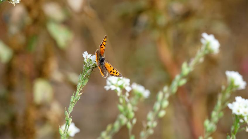 Фото №992865. Art16.ru Photo archive