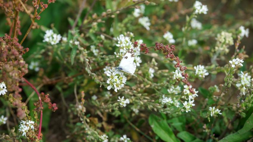 Фото №992870. Art16.ru Photo archive