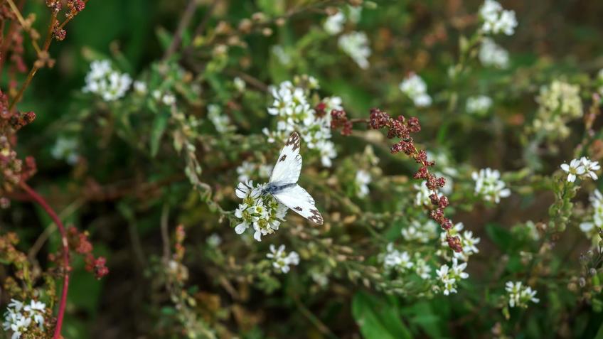 Фото №992875. Art16.ru Photo archive