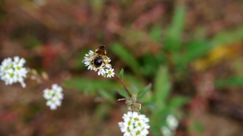 Фото №992880. Art16.ru Photo archive