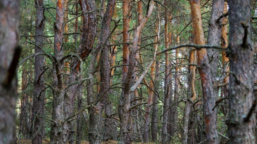 Фото №992895. Art16.ru Photo archive