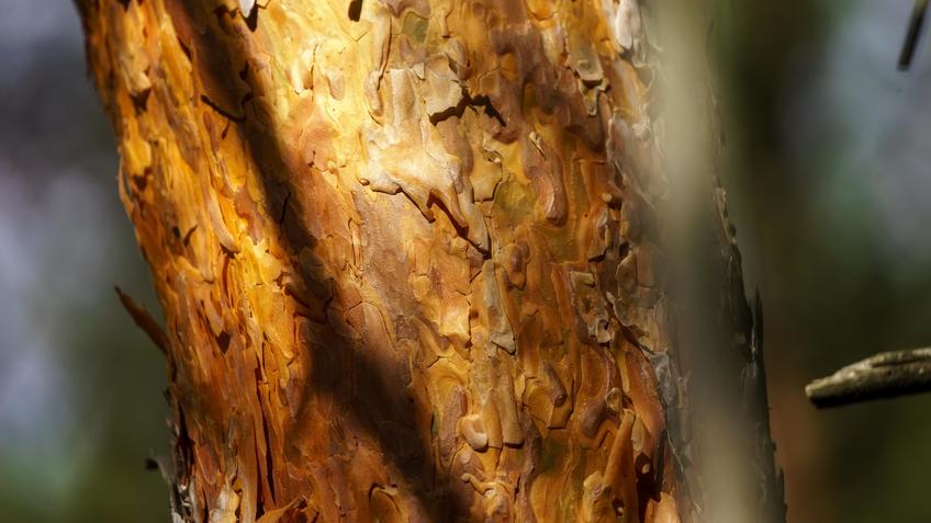 Фото №992900. Art16.ru Photo archive