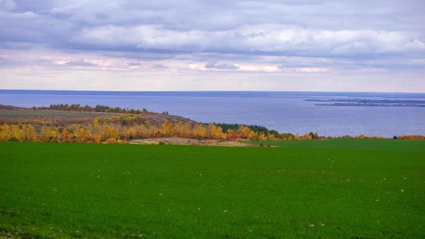 Фото №992905. Волжский берег