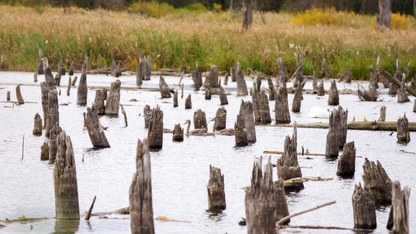 Фото №992915. Art16.ru Photo archive