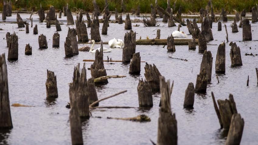 Фото №992920. Art16.ru Photo archive