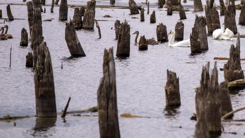 Фото №992925. Art16.ru Photo archive