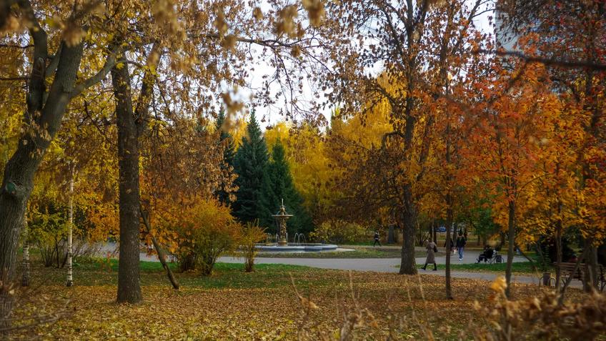 Фото №993349. Art16.ru Photo archive