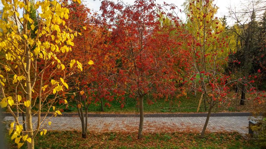 Фото №993379. Art16.ru Photo archive