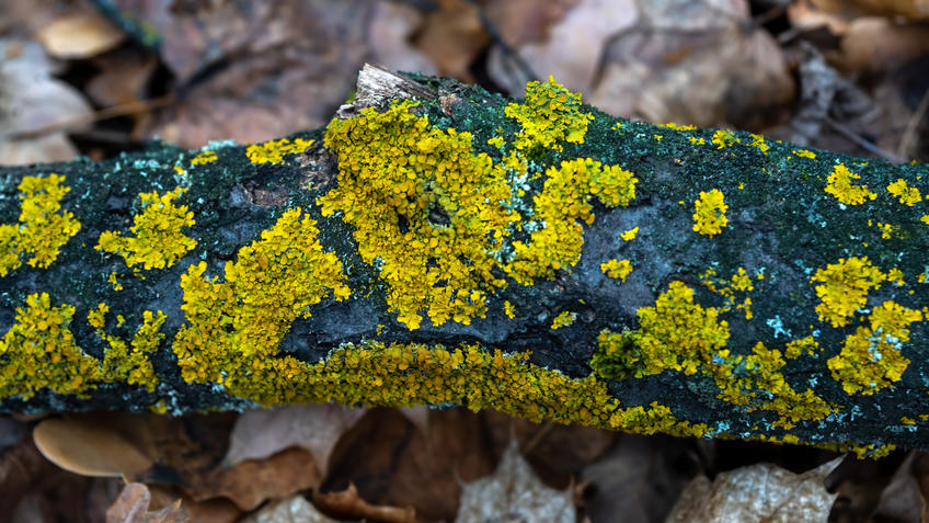 Фото №993664. Art16.ru Photo archive