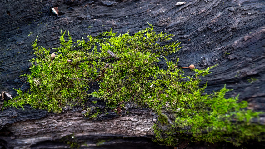 Фото №993669. Art16.ru Photo archive