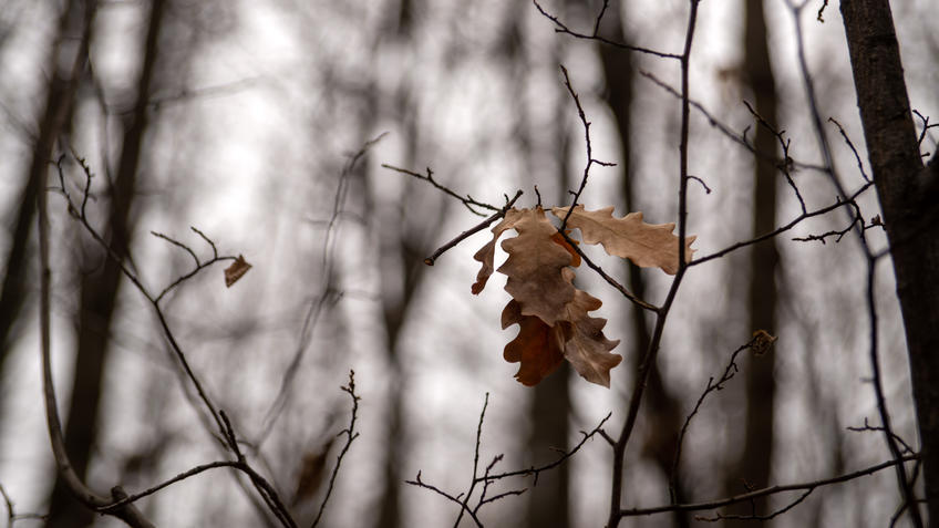 Фото №993684. Art16.ru Photo archive