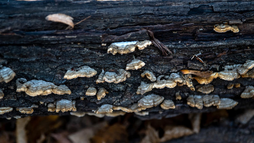 Фото №993704. Art16.ru Photo archive