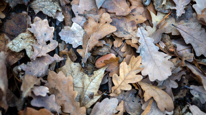 Фото №993709. Art16.ru Photo archive