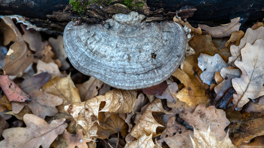 Фото №993719. Art16.ru Photo archive