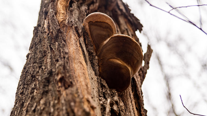 Фото №993724. Art16.ru Photo archive