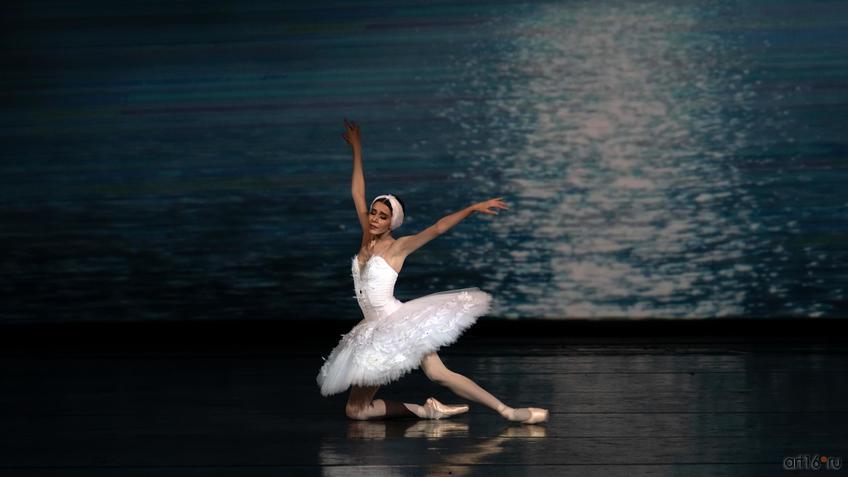 Фото №995428. Art16.ru Photo archive