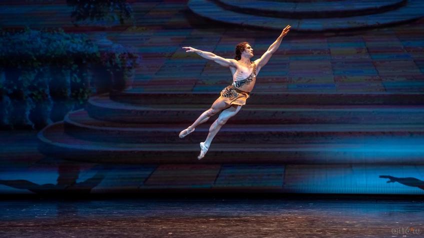 Фото №995613. Art16.ru Photo archive