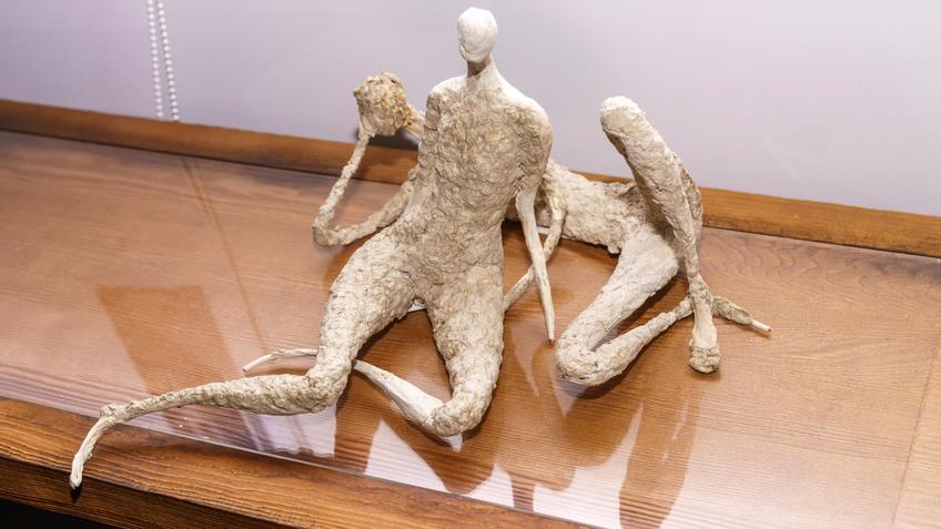 Фото №998285. Зрители (Слушатели). Творческий дуэт «АняМаня»